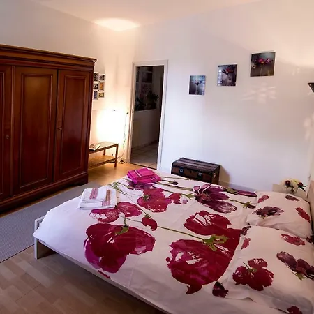 Maison Toulousaine Avec Jardin Toulouse