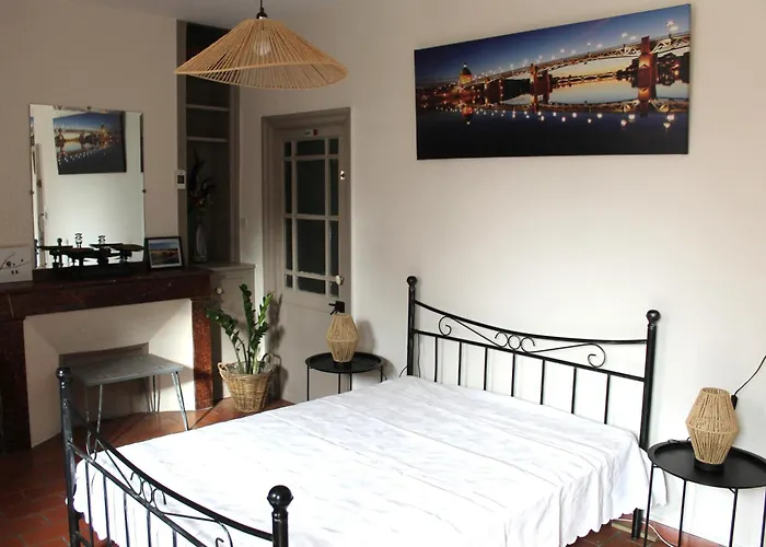 شقة Maison Toulousaine Avec Jardin تولوز