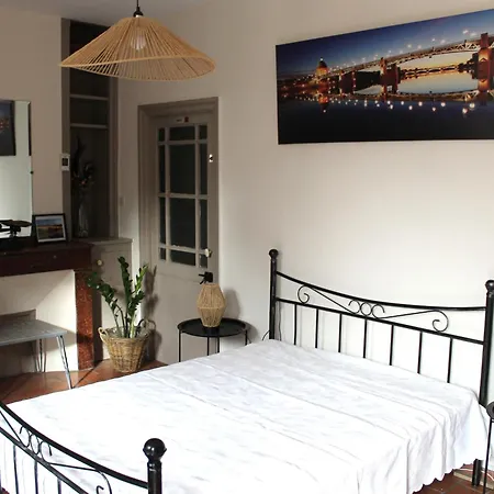 Apartmán Maison Toulousaine Avec Jardin Toulouse